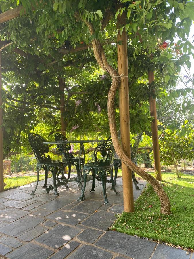 Casa Do Pomar Guest House Braganca Luaran gambar
