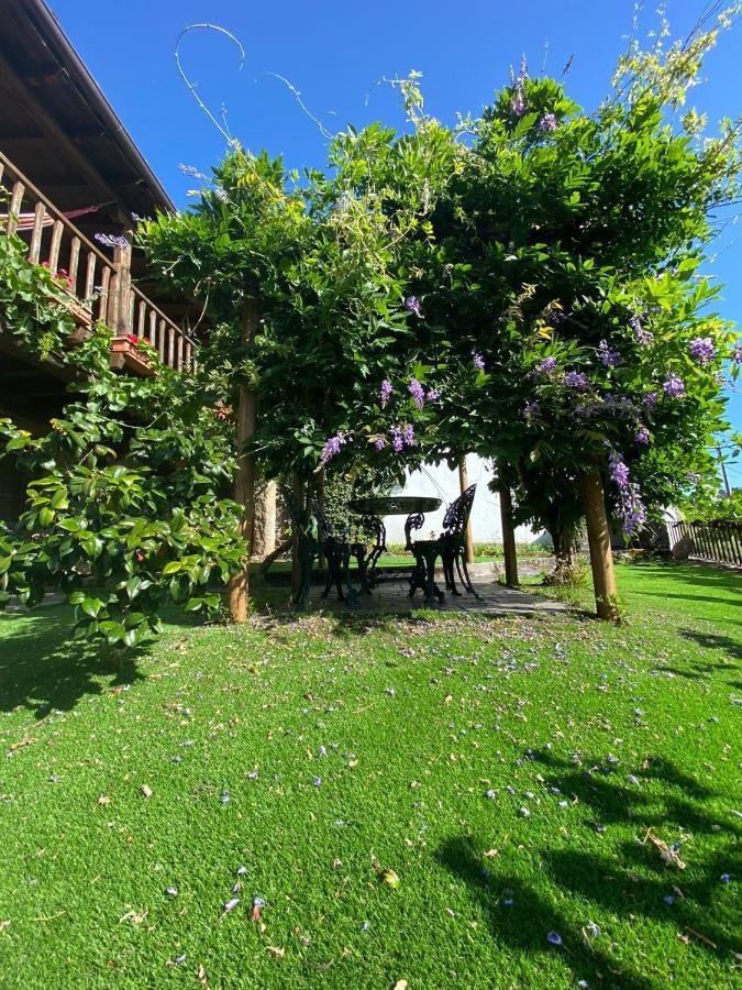 Casa Do Pomar Guest House Braganca Luaran gambar