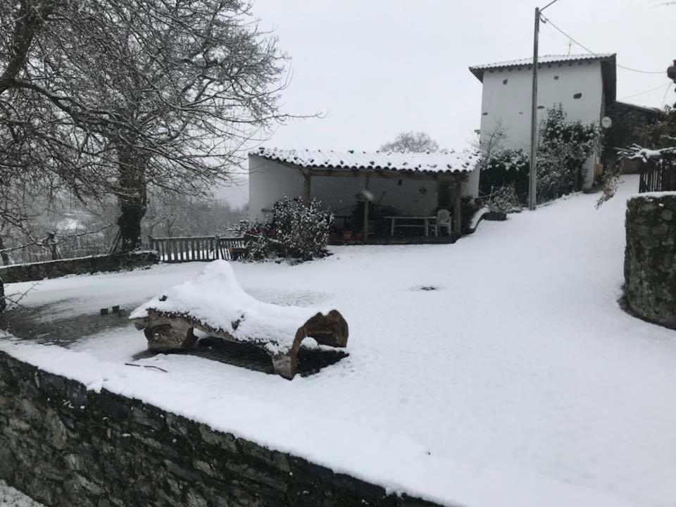 Casa Do Pomar Guest House Braganca Luaran gambar